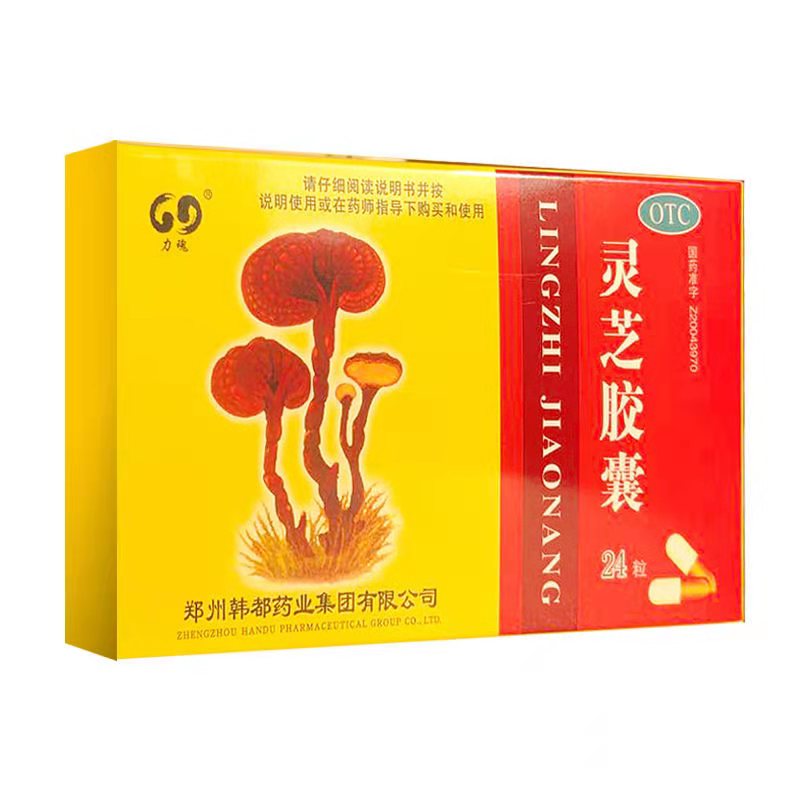 永治 灵芝胶囊 0.27g*12粒*2板/盒